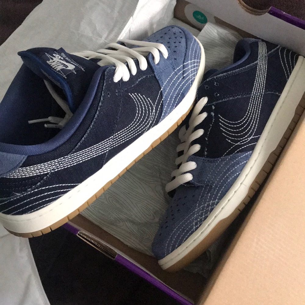 SB Nike dunk low pro